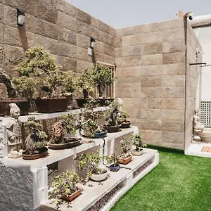 https://apartamentos-centro-nerja-marimel-canovas.es-andalucia.com